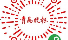 青岛网课最新爆料,揭秘在线教育背后的真相与挑战